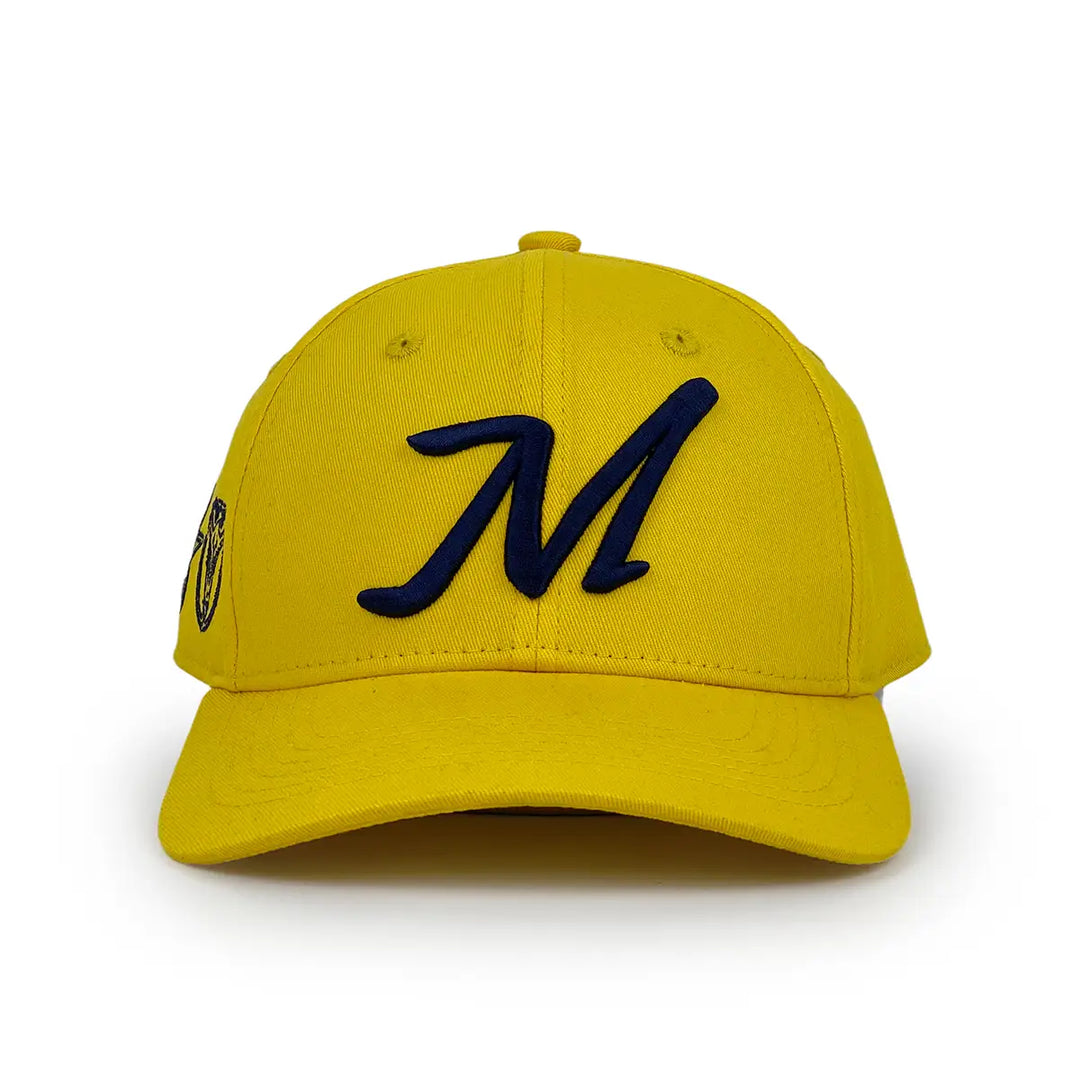 cotton_6_panel_baseball_hat_2