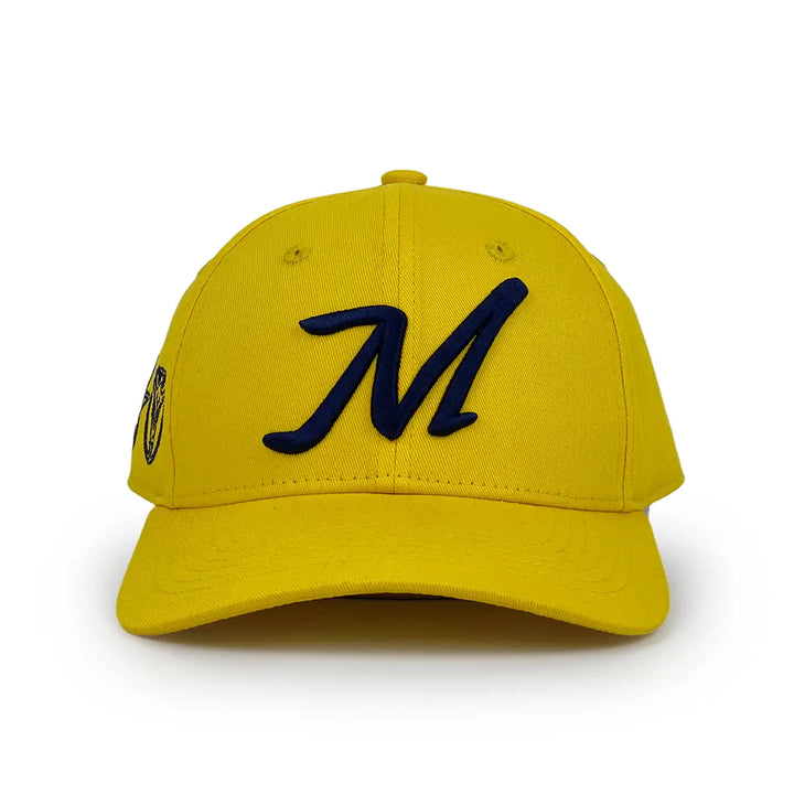cotton_6_panel_baseball_hat_2