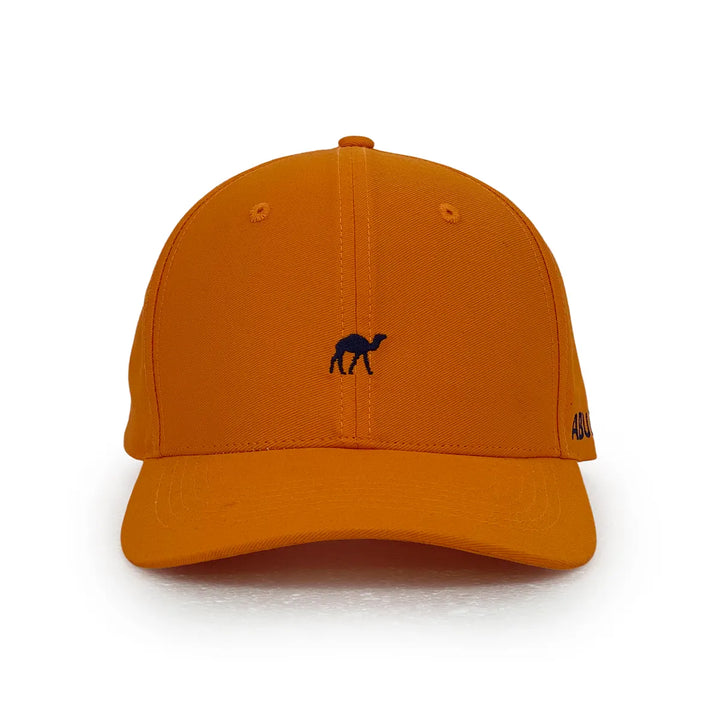 cotton_6_panel_baseball_hat_8