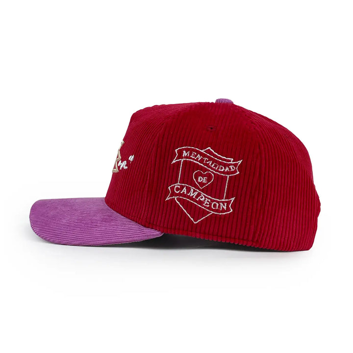 wide_wale_corduroy_baseball_caps_2